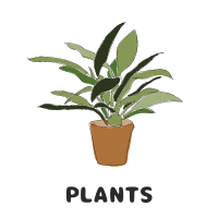 plants