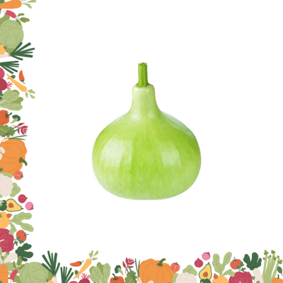 Gol Lauki 600g – 800g