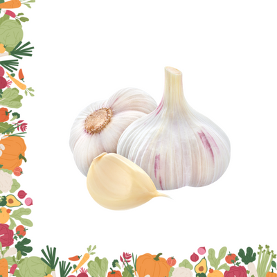 Lehsun 220g – 250g