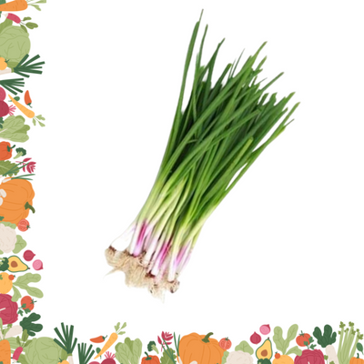 Spring Onion  450g – 500g
